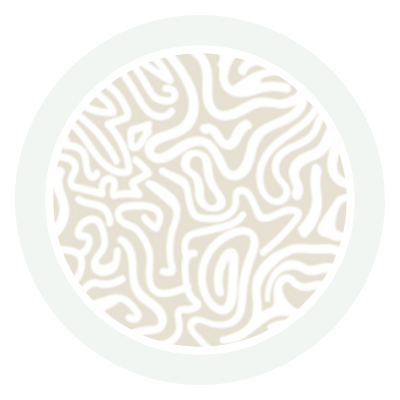 Oat Maze Bambusz Patentos Hosszú Ujjú Body